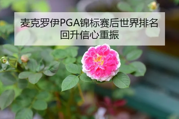 麦克罗伊PGA锦标赛后世界排名回升信心重振