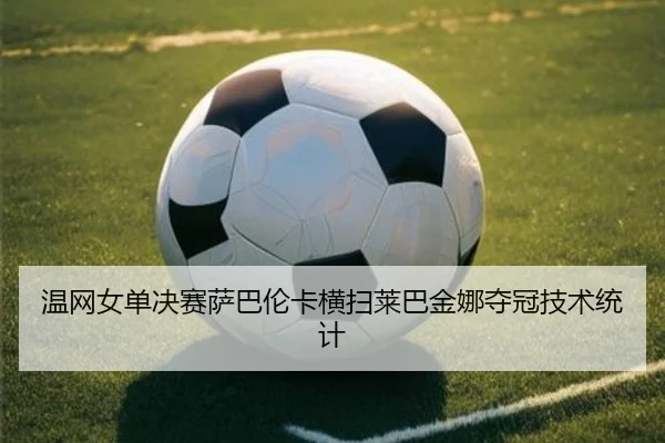 wen-wang-nv-dan-jue-sai-sa-ba-lun-ka-heng-sao-lai-ba-jin-na-duo-guan-ji-shu-tong-ji-2-794.jpg