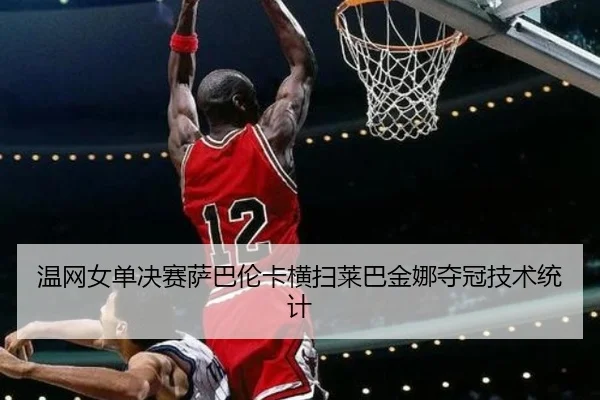 温网女单决赛萨巴伦卡横扫莱巴金娜夺冠技术统计
