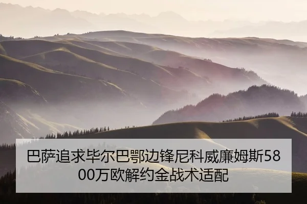 ba-sa-zhui-qiu-bi-er-ba-e-bian-feng-ni-ke-wei-lian-mu-si-wan-ou-jie-yue-jin-zhan-shu-shi-pei-2-721.jpg