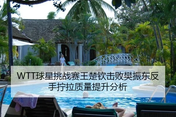 WTT球星挑战赛王楚钦击败樊振东反手拧拉质量提升分析